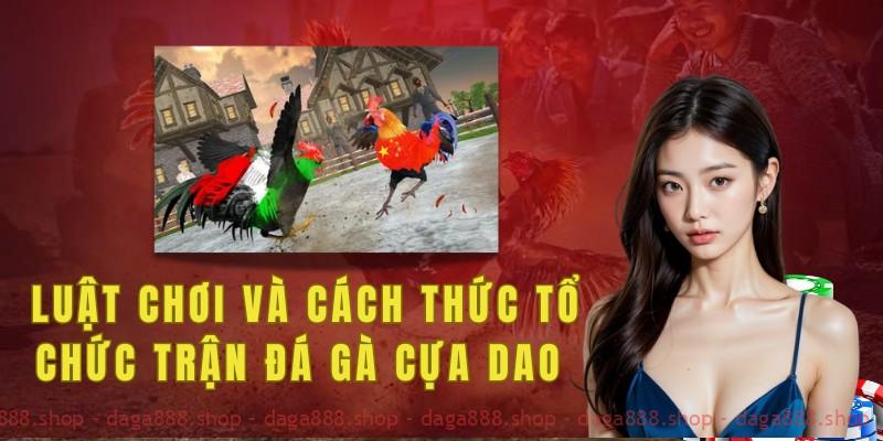 Luật chơi và cách thức tổ chức trận đá gà cựa dao