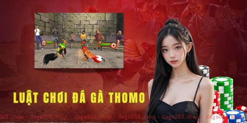 Luật chơi đá gà Thomo kê thủ cần nắm rõ