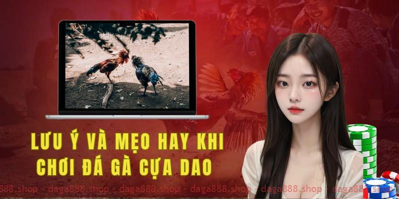 Lưu ý và mẹo hay khi chơi đá gà cựa dao