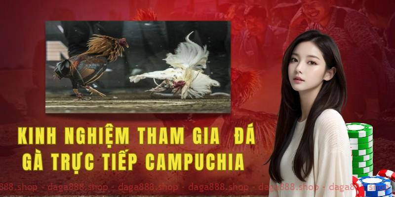 Nên chọn gà cược khỏe mạnh và có sức chiến đấu tốt