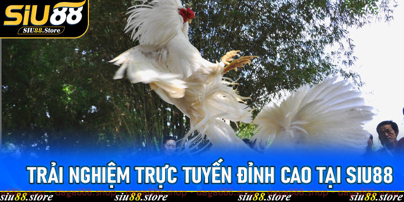 Trải nghiệm trực tuyến đỉnh cao tại Siu88