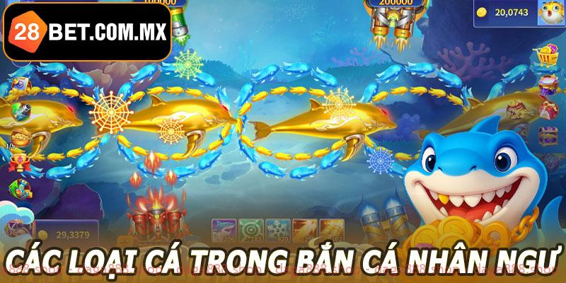 Các loại cá trong bắn cá nhân ngư 28BET