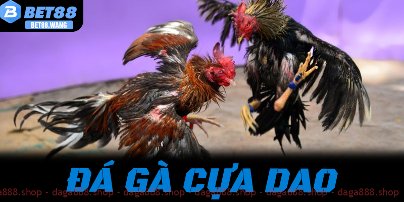 Đá Gà Cựa Dao Bet88 Và Xem Qua Bí Quyết Chọn Kèo Đỉnh Cao